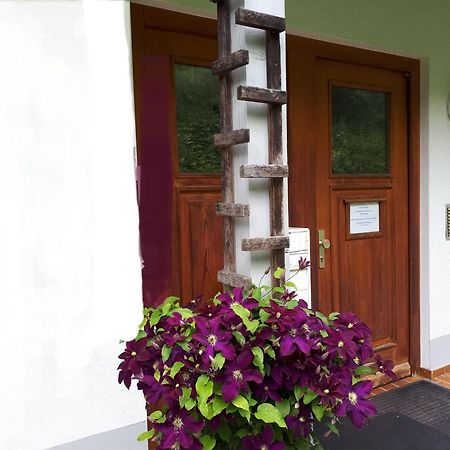 Ferienapartment 38 Sonnenwald Langfurth  Bagian luar foto