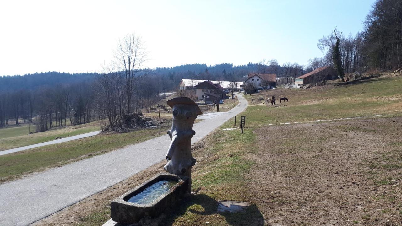 Ferienapartment 38 Sonnenwald Langfurth  Bagian luar foto