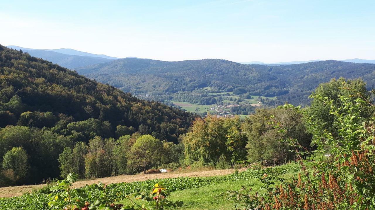 Ferienapartment 38 Sonnenwald Langfurth  Bagian luar foto